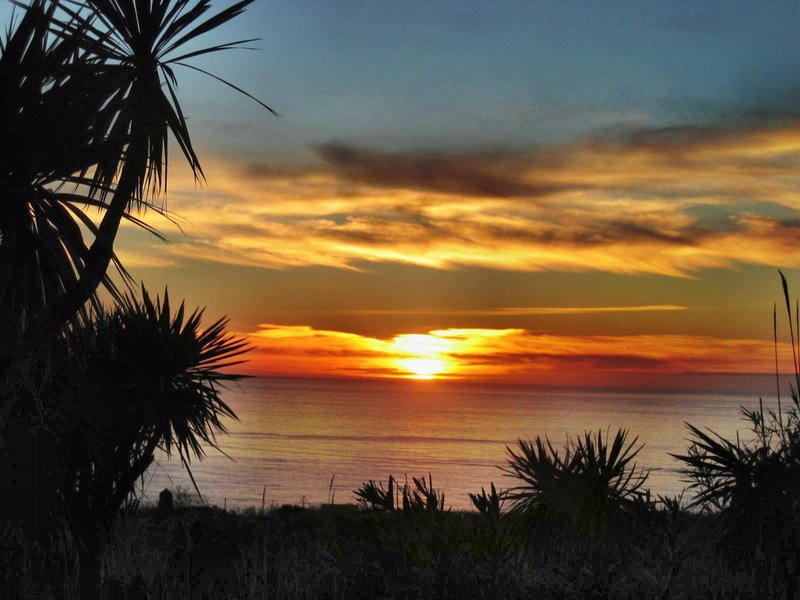 Blick aus meinem Wohnzimmer.jpg