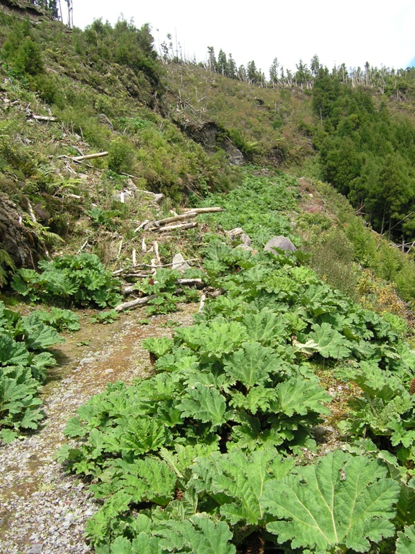 Algarvia - Povoação.JPG