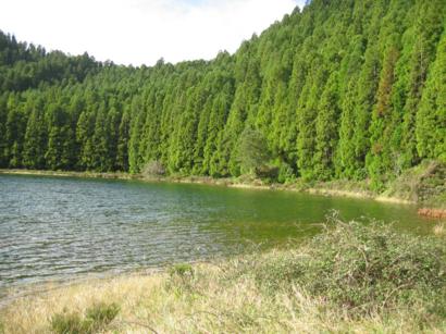 Candelaria 011_410x307.jpg