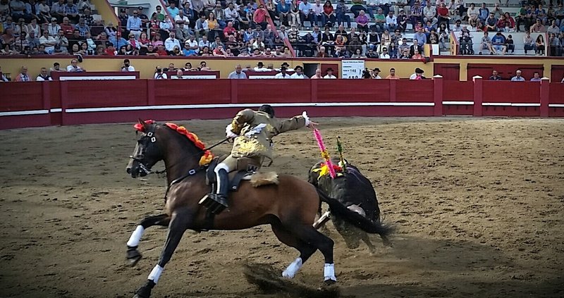 2014-07-03 01.07.10.jpg