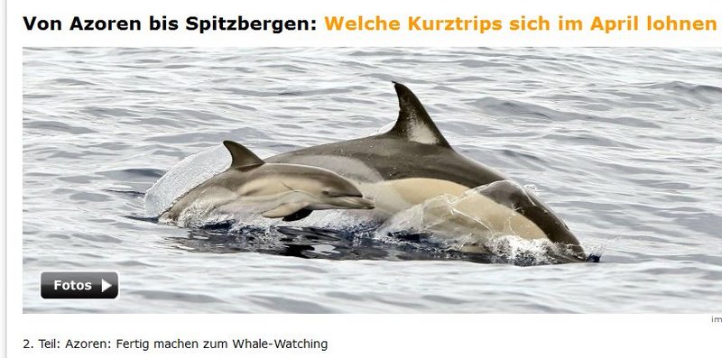 Unbenannt.JPG