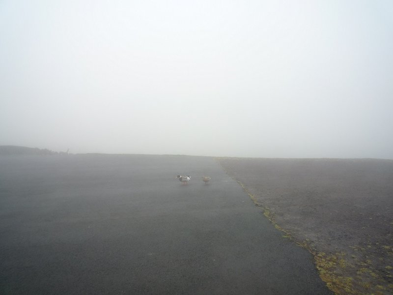 P1030410.JPG