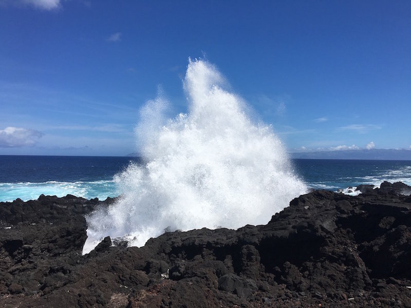 IMG_1094.jpg (177.32KiB)17026 mal betrachtet IMG_1094.jpg