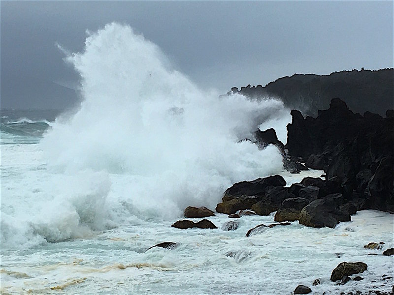 IMG_1112.jpg (192.45KiB)16943 mal betrachtet IMG_1112.jpg