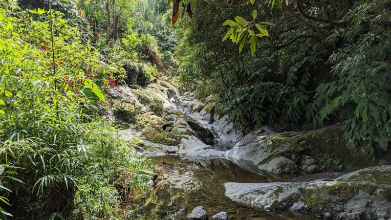 3.jpg (334.78KiB)12285 mal betrachtet 3.jpg