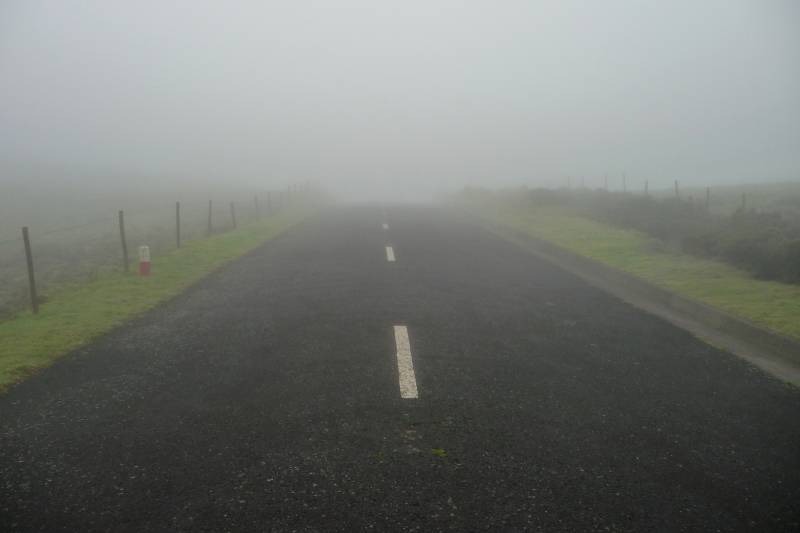 flw-nebel.jpg