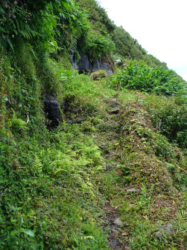 sao-jorge-faja-almas.jpg