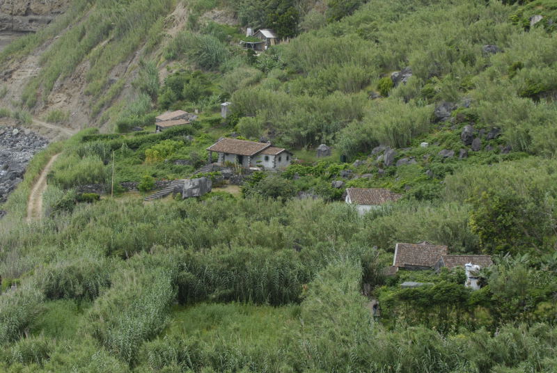 rom_141511.JPG