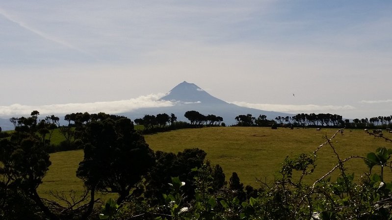 20150318_141325.jpg
