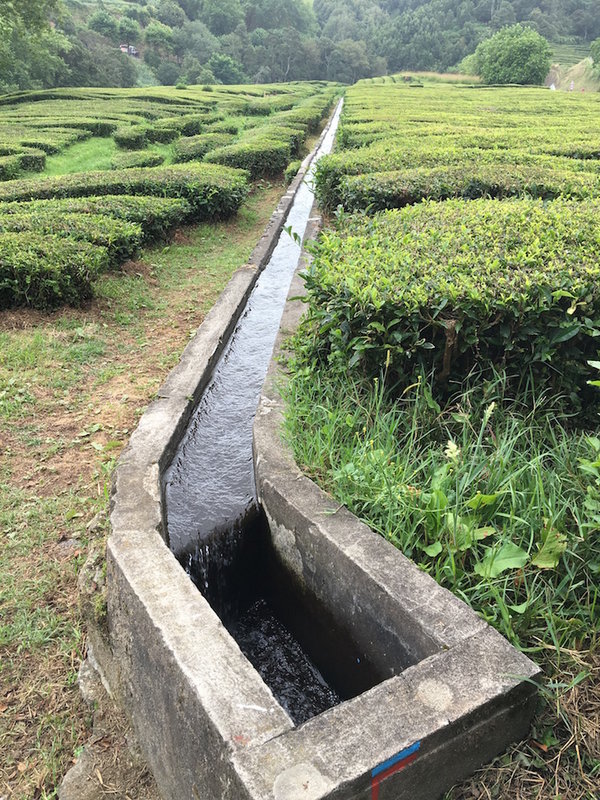 IMG_1014.jpg (431.54KiB)6732 mal betrachtet IMG_1014.jpg