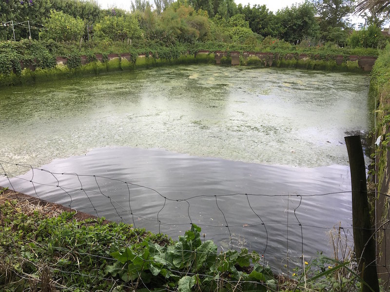 IMG_1015.jpg (326.48KiB)6732 mal betrachtet IMG_1015.jpg