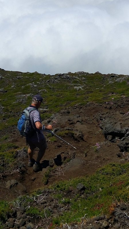 pico.jpg (331.08KiB)10793 mal betrachtet pico.jpg